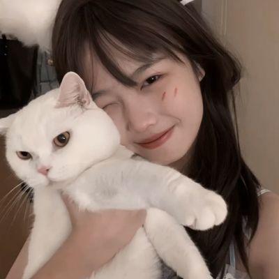 摩卡骑士手机版下载